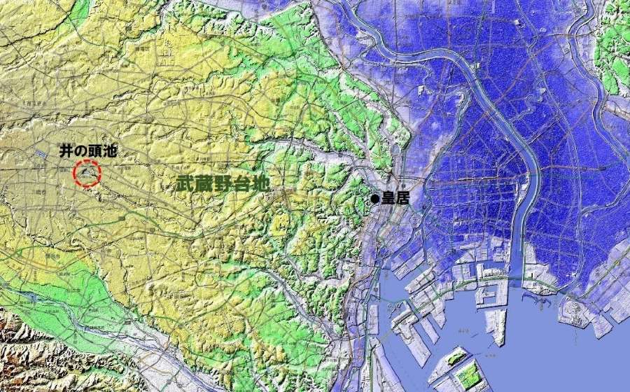 東京周辺の凹凸地形図（「カシミール３D」を使って作成）